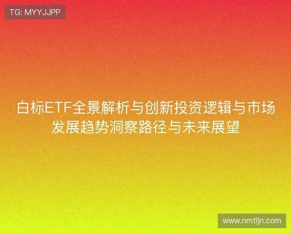 白标ETF全景解析与创新投资逻辑与市场发展趋势洞察路径与未来展望
